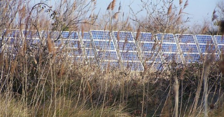 La Suède, exemple pour une transition énergétique européenne ?