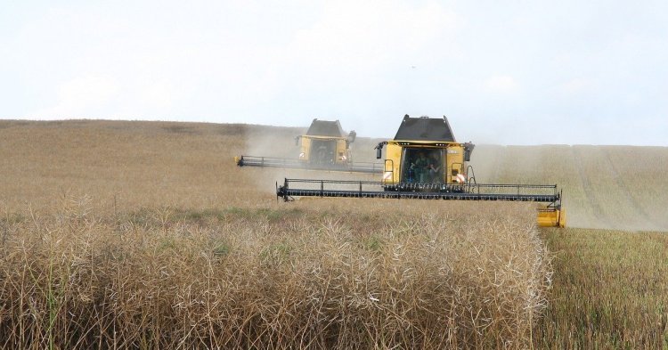 Concilier transition écologique et compétitivité du secteur agricole européen