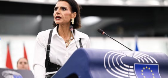 My voice my choice : une initiative citoyenne européenne qui fait resurgir le cynisme de l'extrême droite