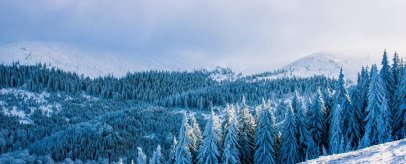 Noël en Roumanie : entre chants et traditions 