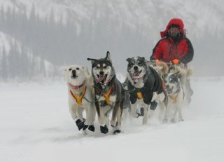 Island auf dem Weg in die EU ?