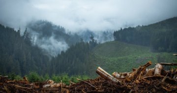Envicrime : des milliards d'euros de bénéfices illégaux