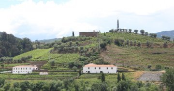 Postcard from Peso da Regua