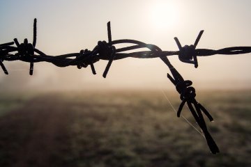 La petizione al Parlamento Ue per dire no all'Europa dei muri e dei fili spinati