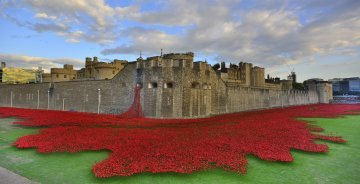 Europa celebra 100 años del fin de la Primera Guerra Mundial