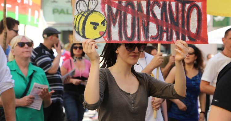 Bayer - Monsanto : Et si l'Union européenne empêchait la fusion ?