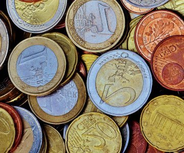 I primi 20 anni dell'euro : le cose non dette
