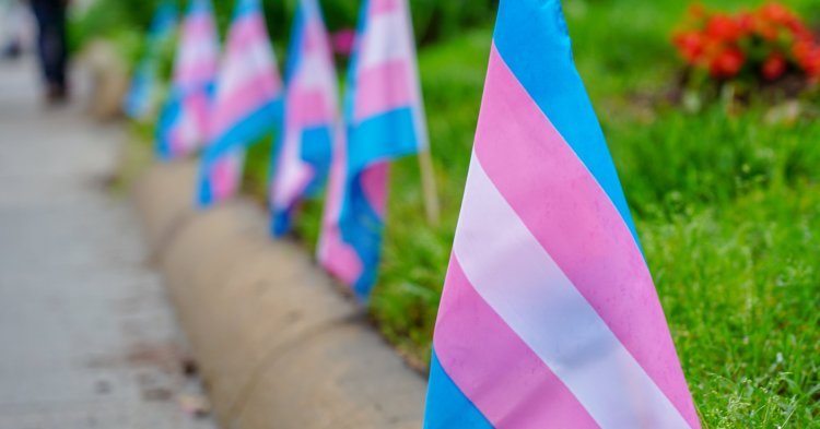 Access to Trans Healthcare: the situation in Europe