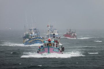 Kleine Fische, tiefe Wasser – die politischen Hintergründe des EU-UK-Fischereikonflikts
