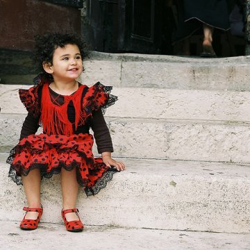 Gypsies, Travellers, Roma : the Black Sheep of Europe