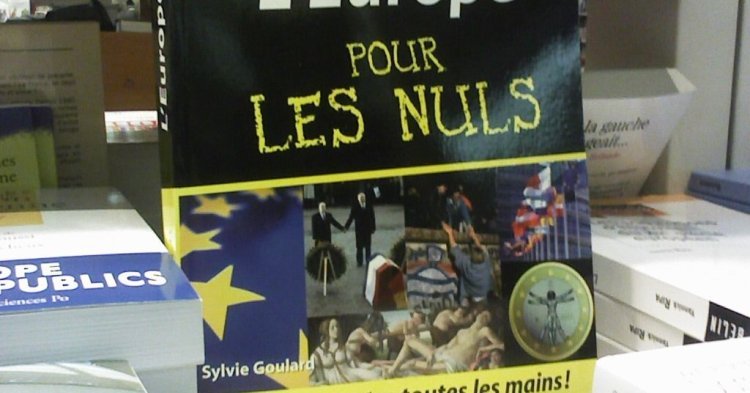 « L'Europe pour les Nuls » de Sylvie Goulard