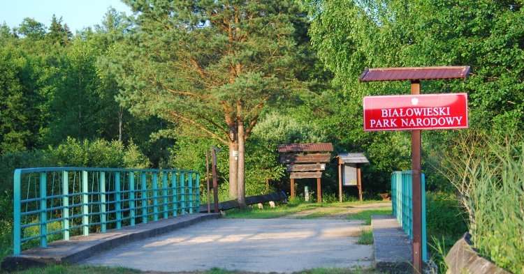 Union européenne et protection de l'environnement : le cas Bialowieza