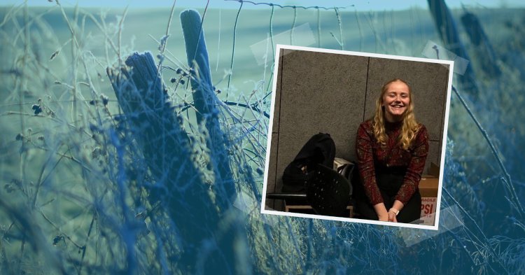 Dänische Minderheit in Deutschland: Grenzübergreifende Identitäten