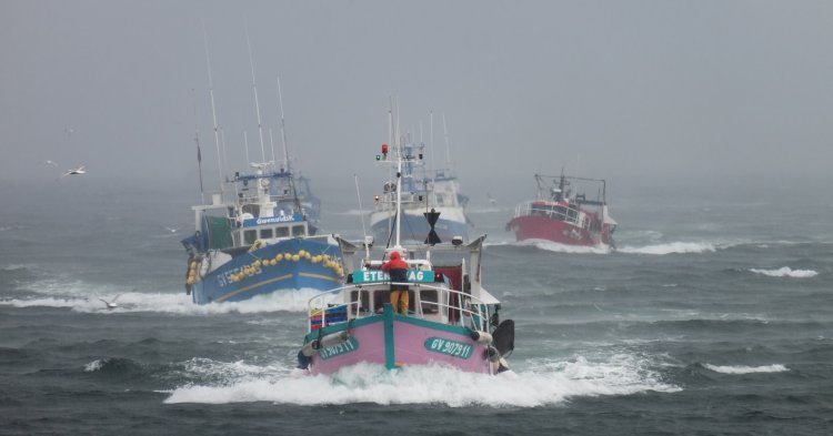 Kleine Fische, tiefe Wasser – die politischen Hintergründe des EU-UK-Fischereikonflikts