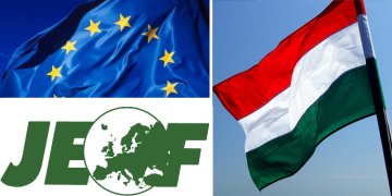 Ungarn (1) : Warum die JEF für Demokratie und Rechtsstaatlichkeit demonstrieren geht.
