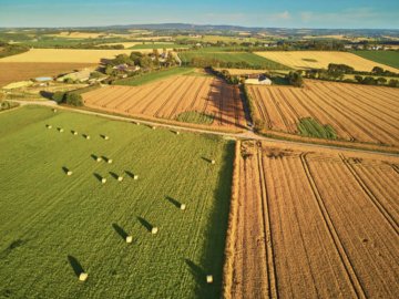 Colère agricole : dans le sillon du Pacte vert européen