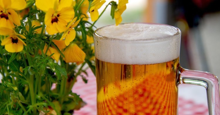 La fête de la bière à Munich : de la tradition vers la modernité