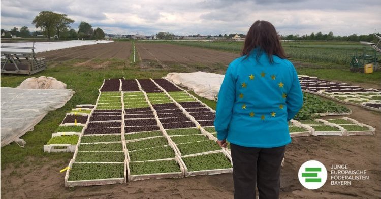 Food for thought: Reforming the common European agricultural policy and the way we cultivate our fields