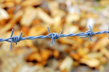 Idéologie et terrorisme
