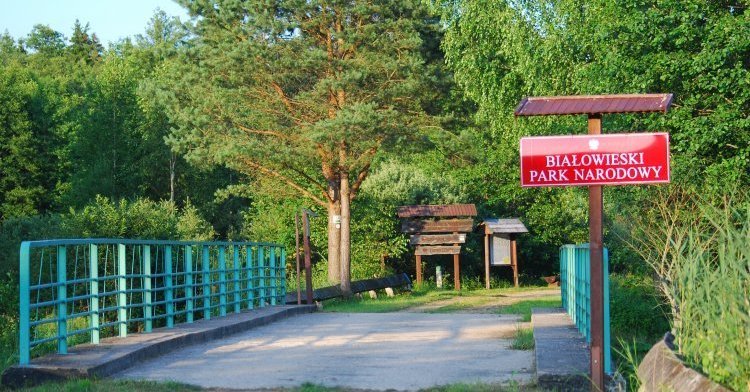 European Union and environmental protection: the Białowieża case
