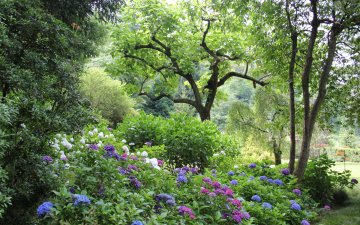 ,,Europa als Garten”: Von Unwissen, Unverständnis und neuen Perspektiven