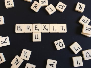 Remain or Leave : un dibattito molto poco europeo 