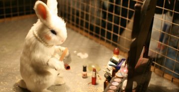 Le rôle des lobbies à Bruxelles : l'exemple de la directive « cosmétiques »