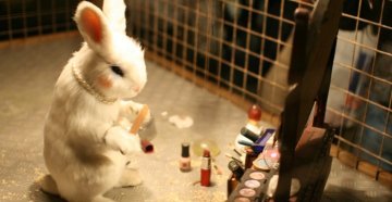 Le rôle des lobbies à Bruxelles : l'exemple de la directive « cosmétiques »