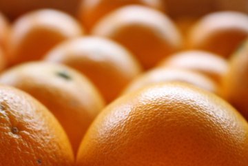 Biolandwirtschaft in Europa - eine Bestandsaufnahme (1)