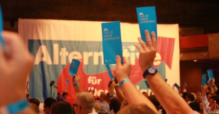 Der Erfolg der AfD bei den Landtagswahlen in Deutschland - eine Gefahr für die Demokratie?