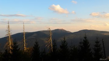 Clim'Ability, un projet pour sensibiliser aux effets du changement climatique dans le Rhin supérieur