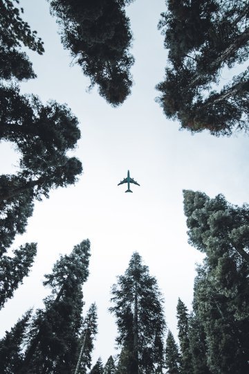 Reducing Emissions from Aviation in the EU (2/2)