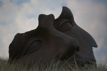 Il volto della democrazia europea