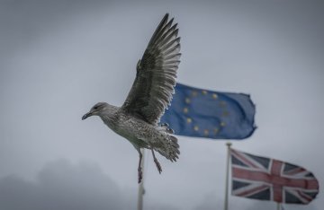 Das Schreckgespenst des Brexit
