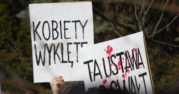 Parisian protests of Polish law: Interview with the Association for the Defence of Democracy in Poland