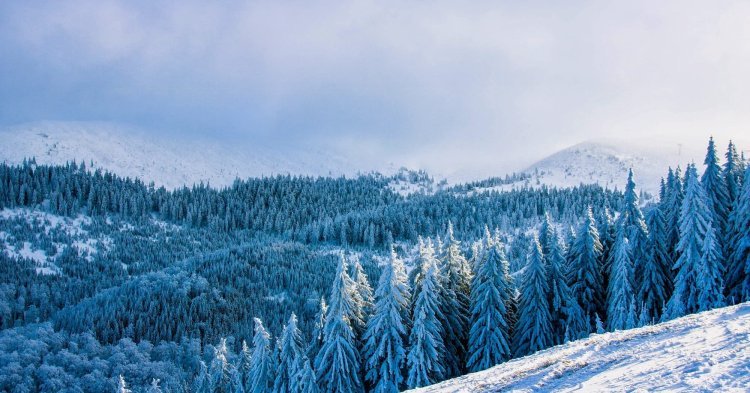 Noël en Roumanie : entre chants et traditions 