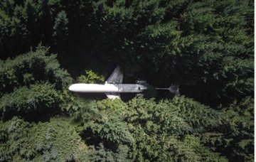 The European recovery plan : a policy continuation or a political revival ?