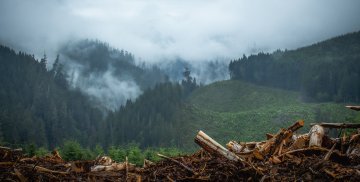 Envicrime : Billions of Euros in Illegal Profits