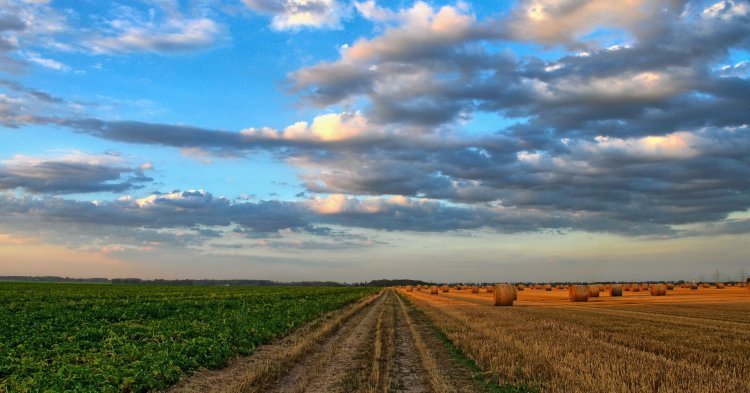 PAC : Laissons les agriculteurs agir, plutôt que de réagir pour eux 