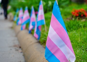 Access to Trans Healthcare : the situation in Europe