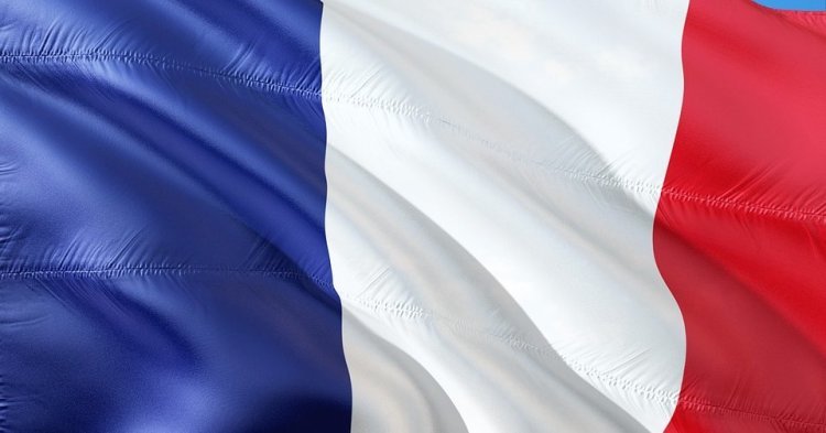 Le drapeau tricolore a fait le tour du monde” : histoire du drapeau de la  France - Le Taurillon