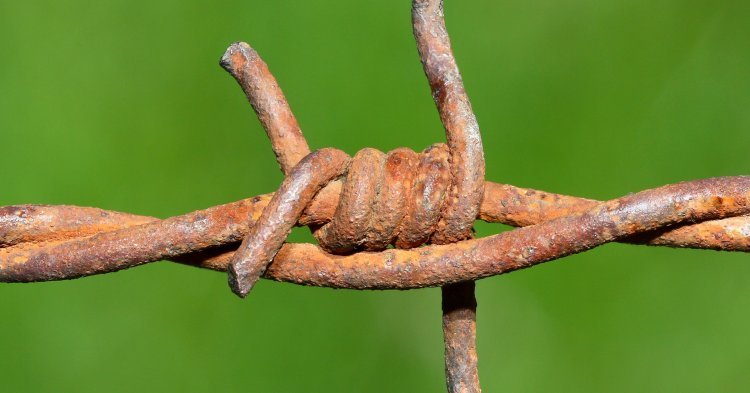 IL RITORNO DEL FILO SPINATO: LA LITUANIA CEDE ALLA PRESSIONE BIELORUSSA