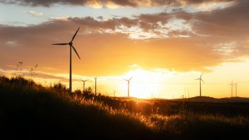 Energías renovables: ¿solución o nueva amenaza?