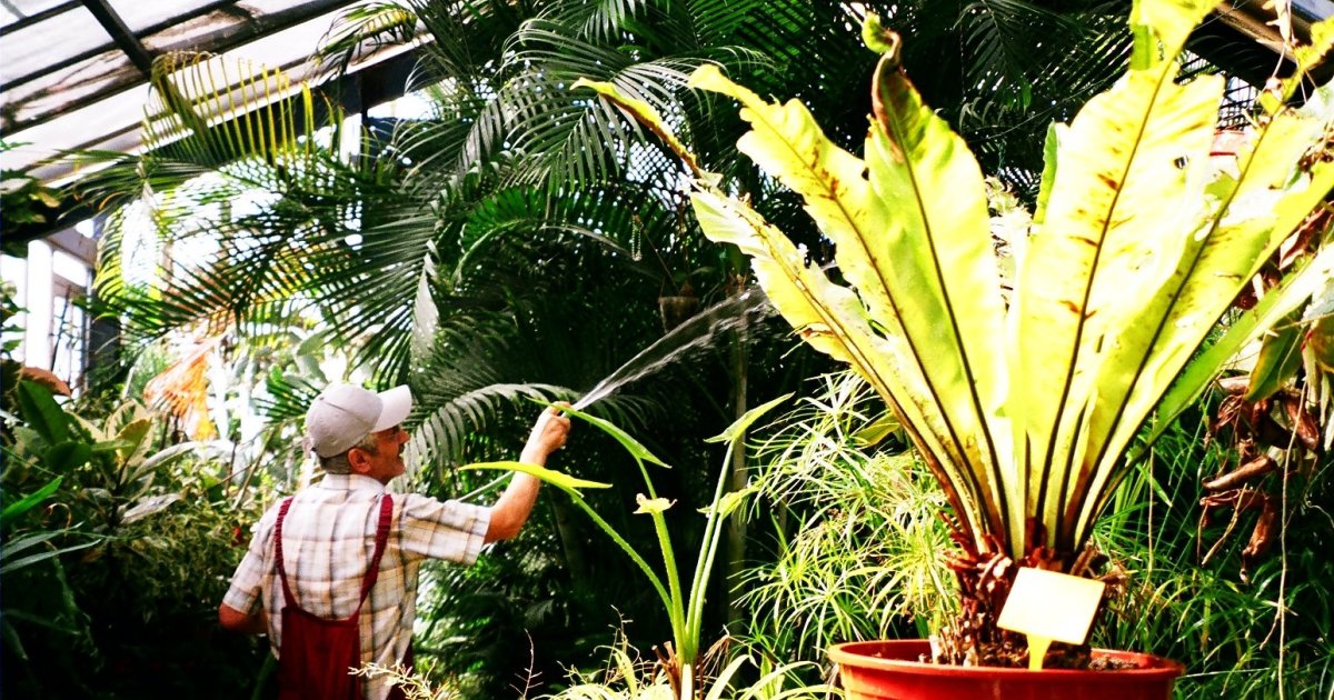 Istanbuls erster Botanischer Garten Deutschtürkische